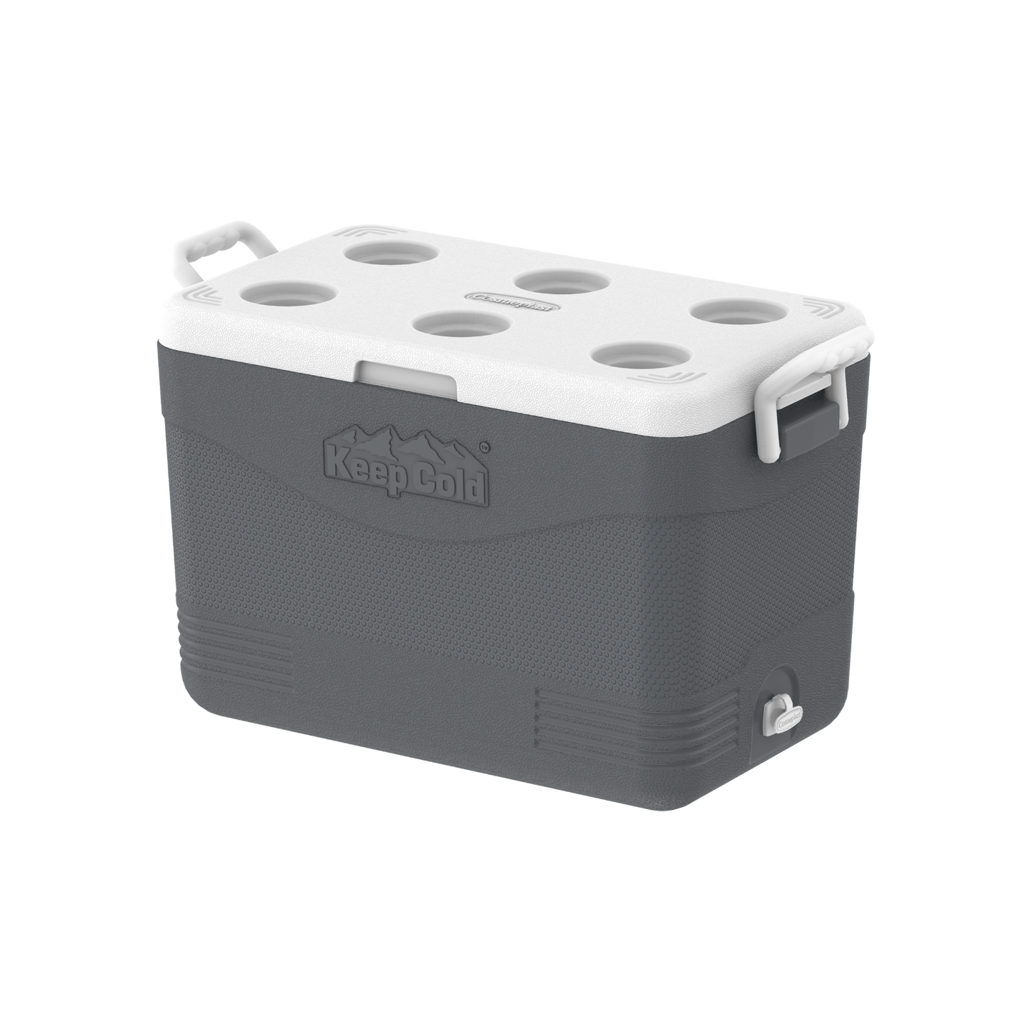 46L KeepCold Picnic Icebox