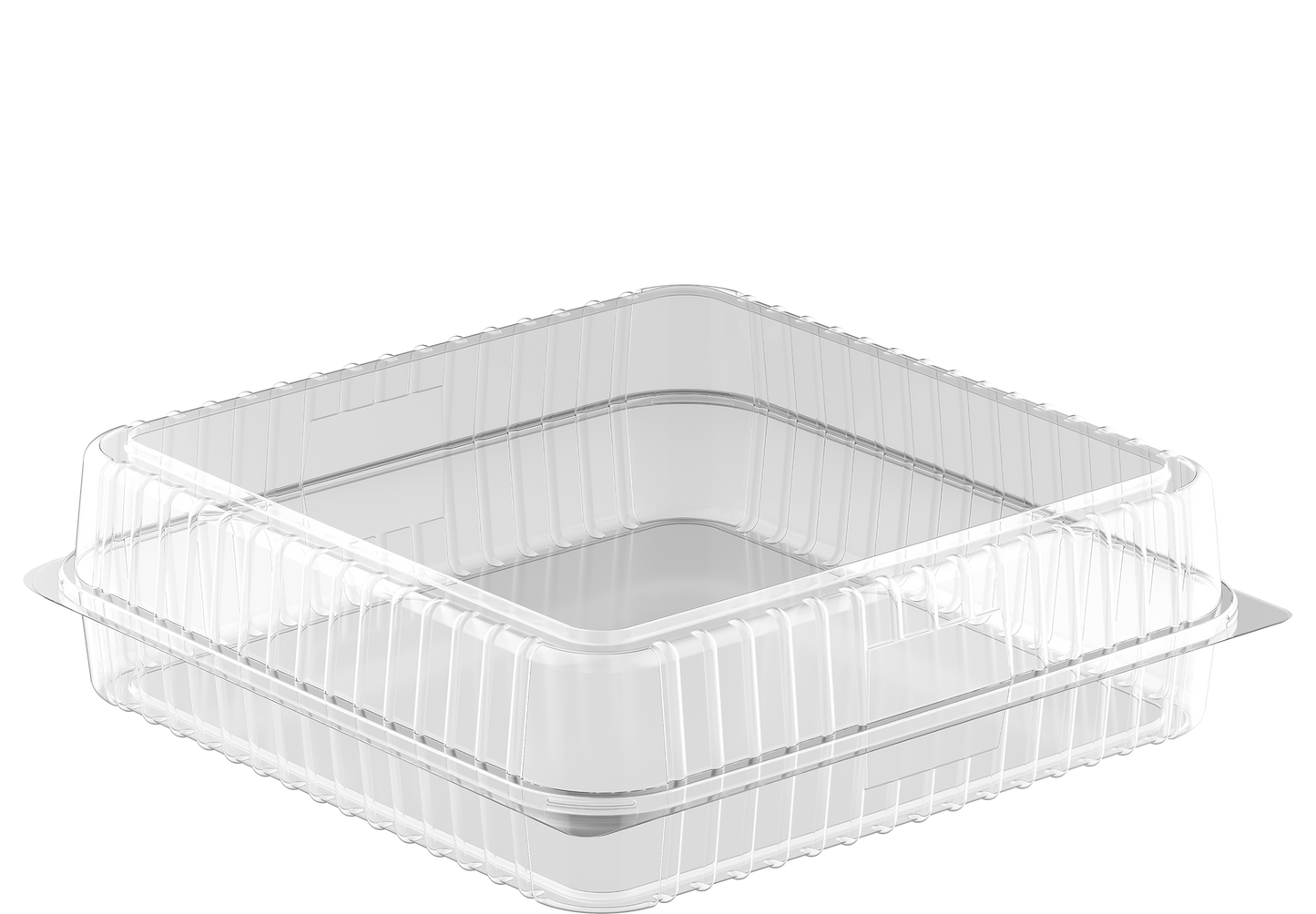 Large Cake Plastic Containers Carton of 100
