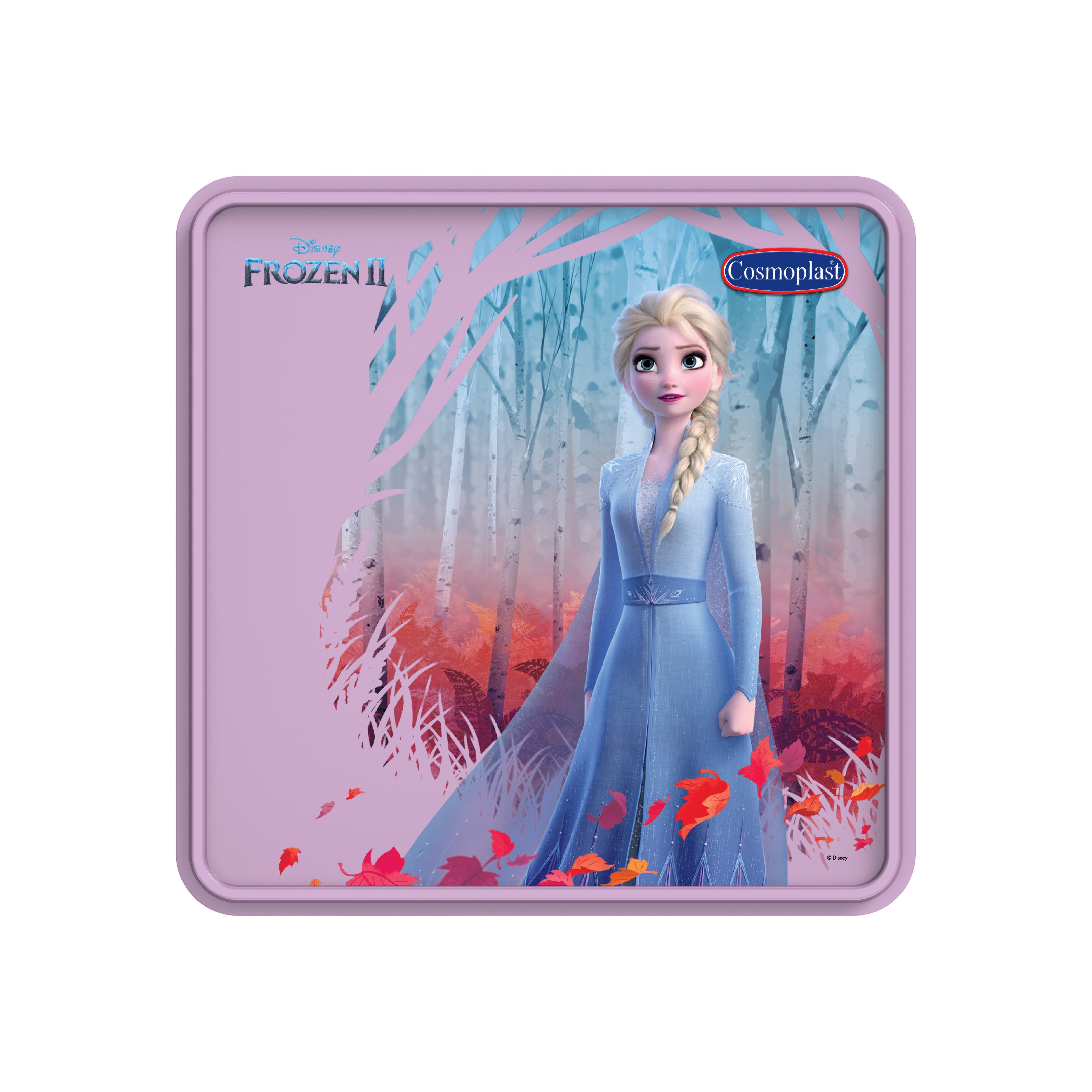 Disney frozen 2024 storage box