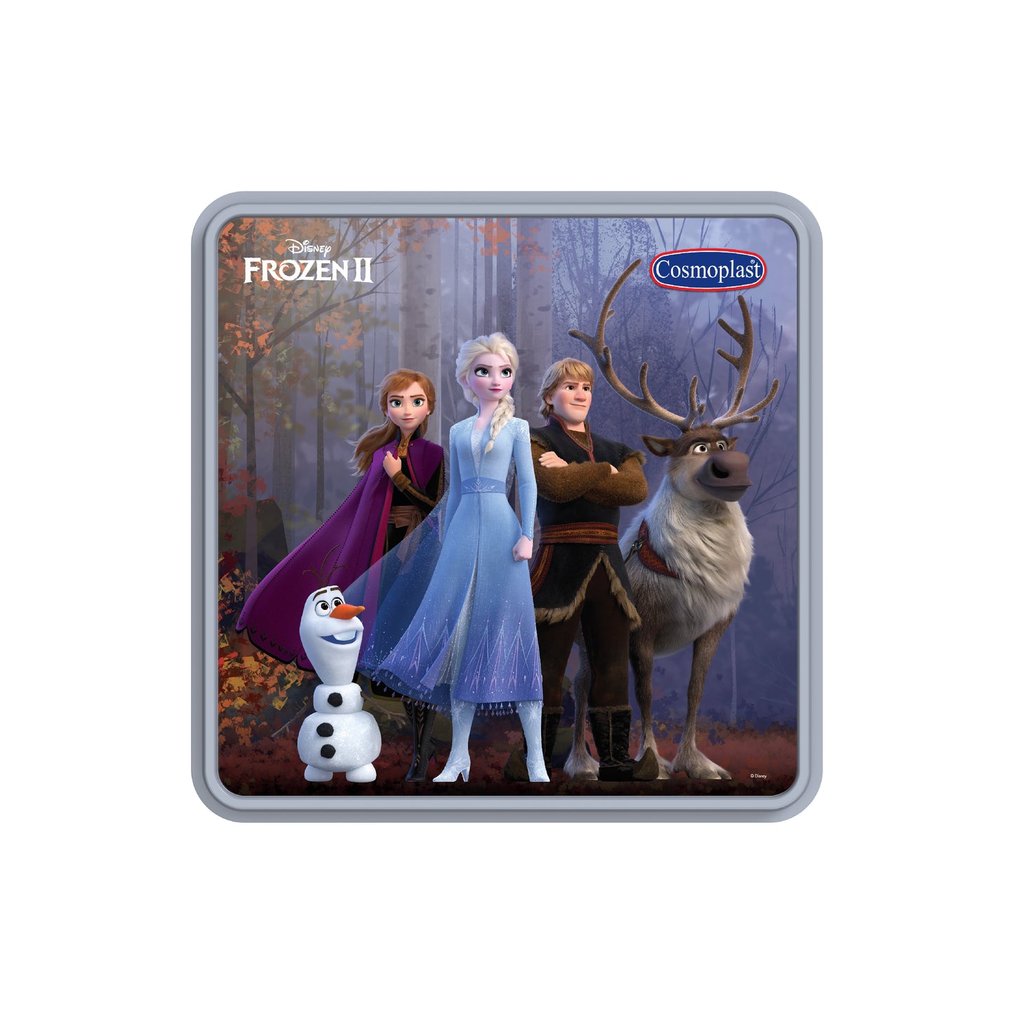 Cosmoplast Disney Frozen Storage Box 10 Liters