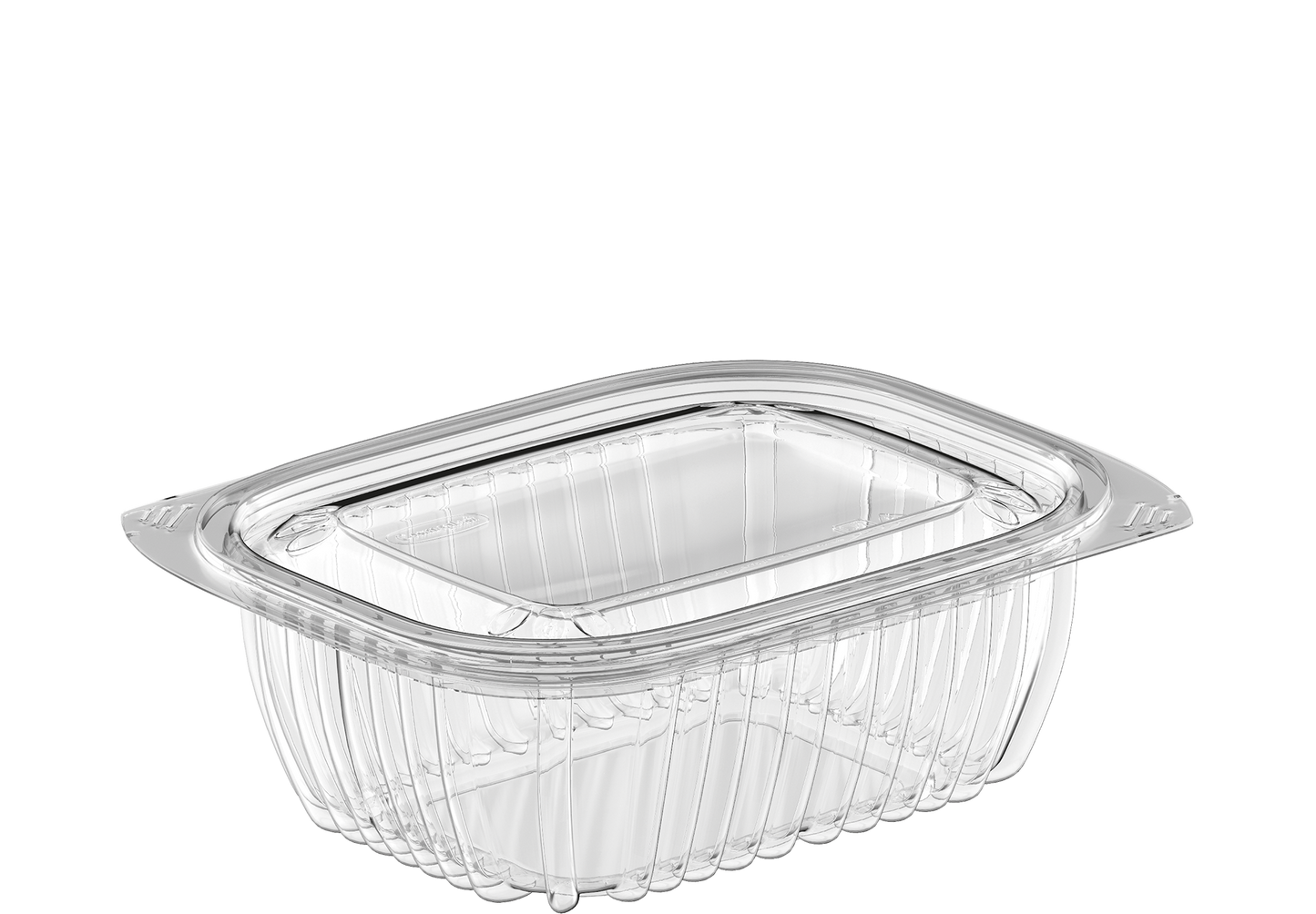 24 oz Carton of 250 Clear General Purpose Containers with Lids